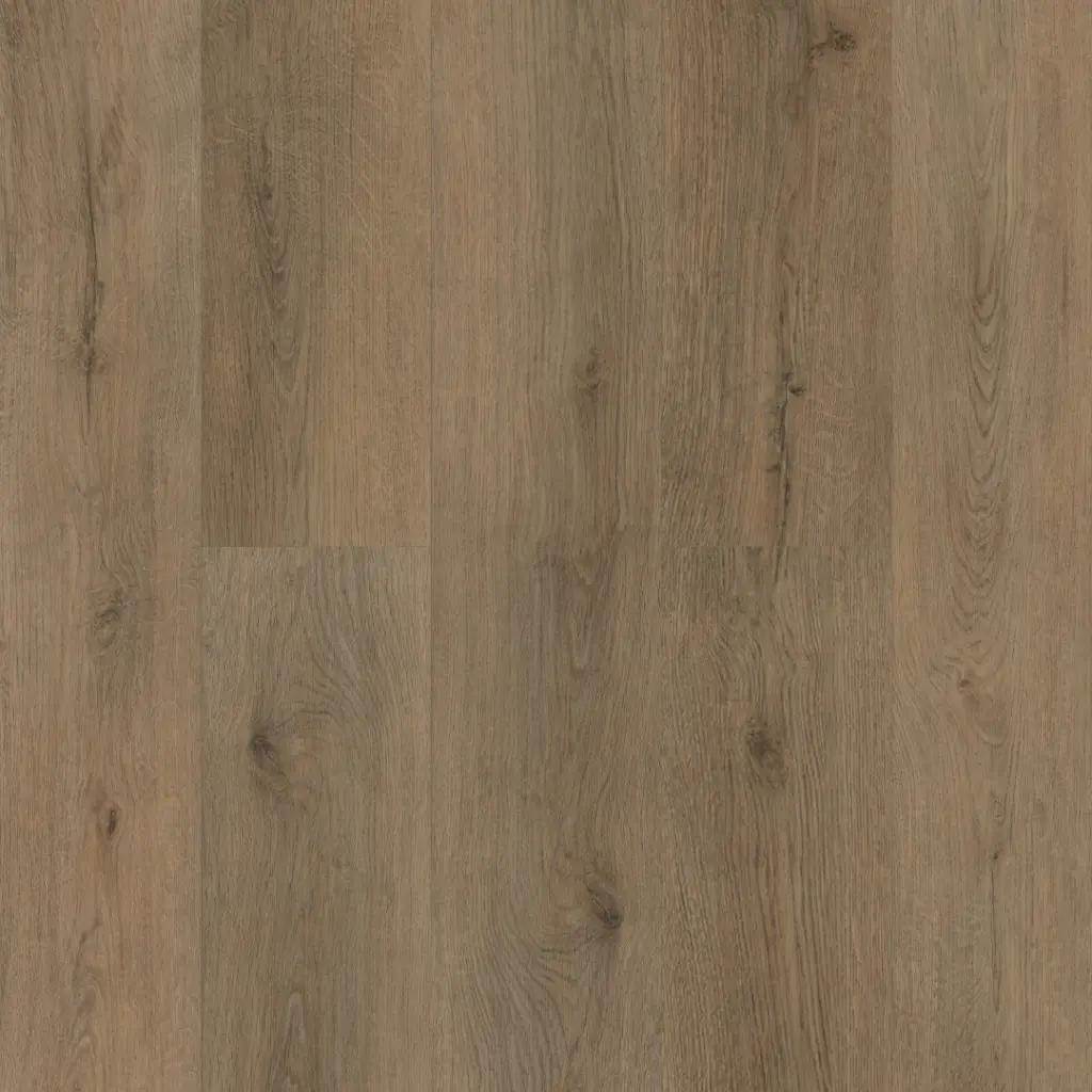 Дуб Рейсдал ЕСО 5-41