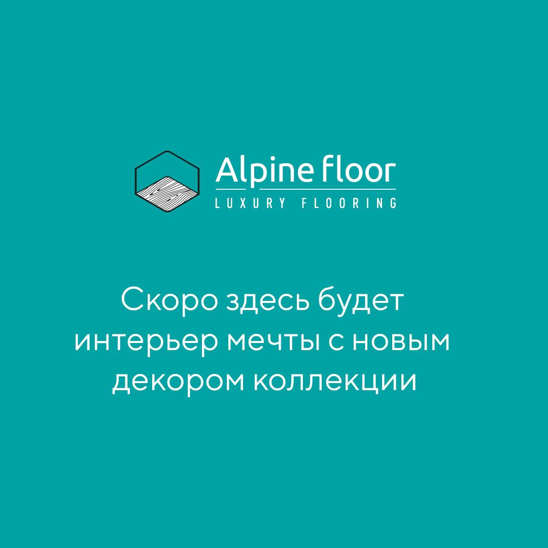 https://bitrix.alpinestore.su/upload/iblock/109/244q0z357iooxineyj58fh5ywg8v5lqu/alpine.jpg