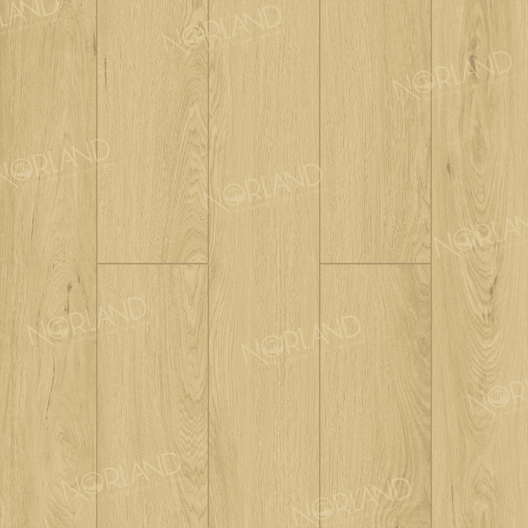 https://bitrix.alpinestore.su/upload/iblock/2b6/7tnkuwiu20dzzwvq5z8q9pz56ijpw4k0/LF301_05_3_11zon.png