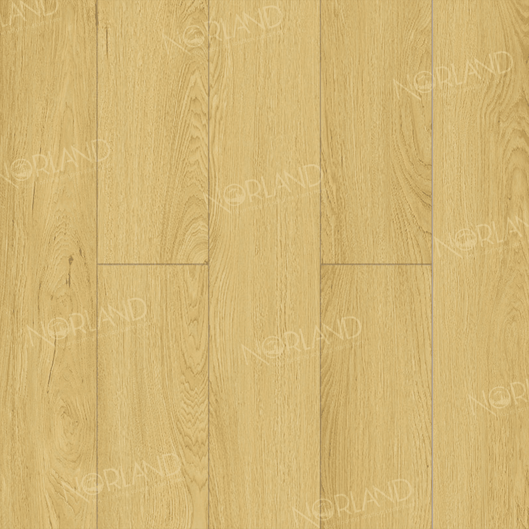 https://bitrix.alpinestore.su/upload/iblock/356/ejv4g3gx4prcej9zlwws9mjs5nno7ckt/LF301_08_3_11zon.png