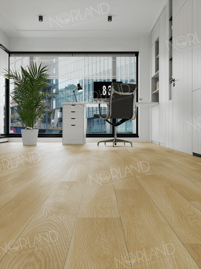 https://bitrix.alpinestore.su/upload/iblock/855/2thslad1rn9nfepkj3i83g00z95rft4v/LF301_04_11zon.png