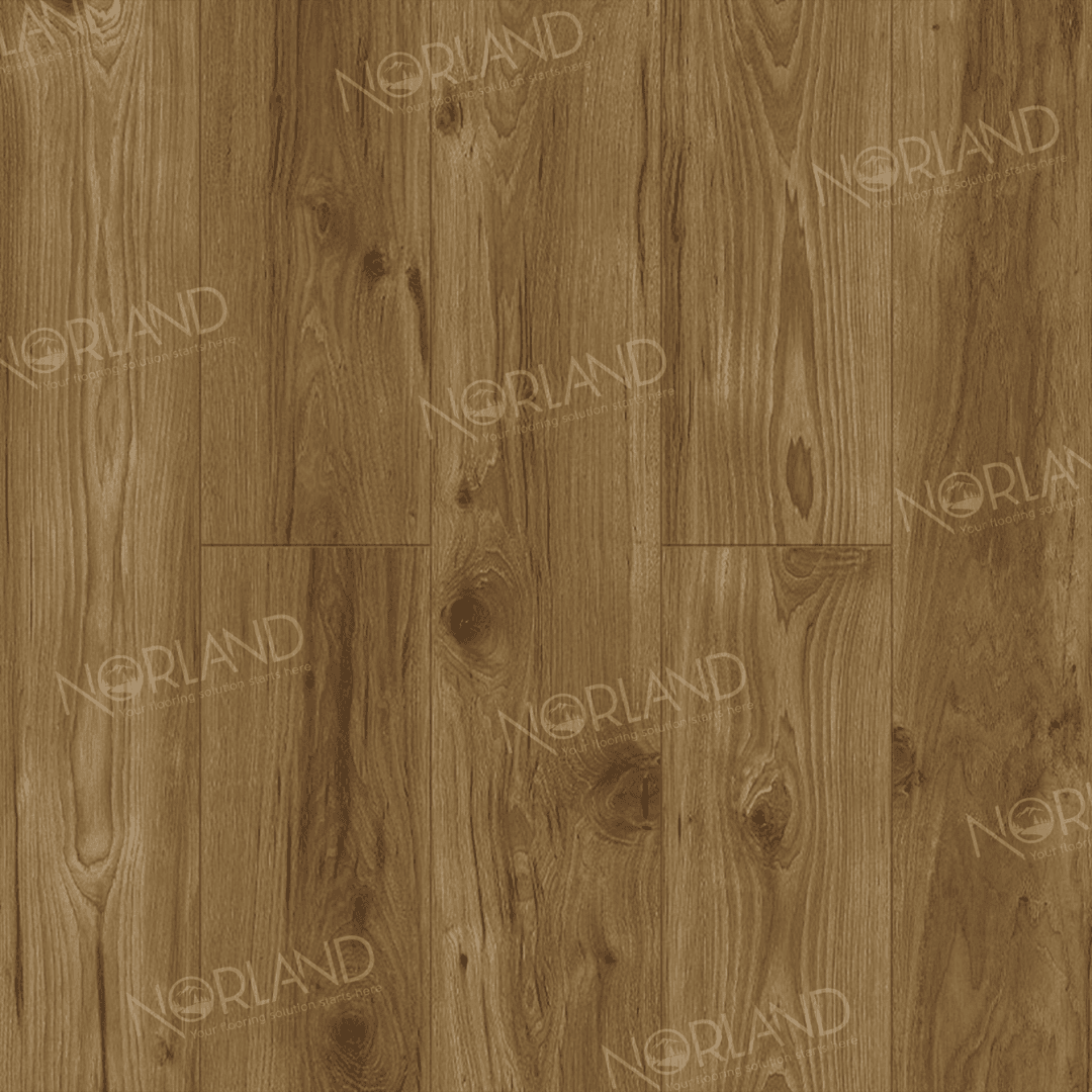 https://bitrix.alpinestore.su/upload/iblock/a2a/h3z0296ukihal771726bcermn03ddt92/LF301_18_3_11zon.png