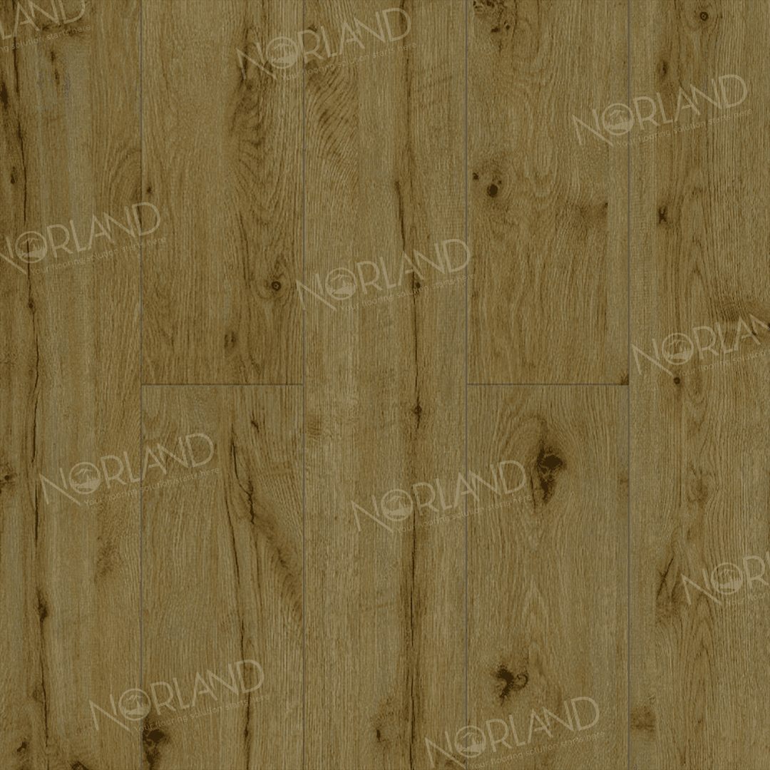 https://bitrix.alpinestore.su/upload/iblock/bf5/lda6hbu5wz3rd4pp5bxpwzjvxh2kjshi/LF301_14_3_11zon.png