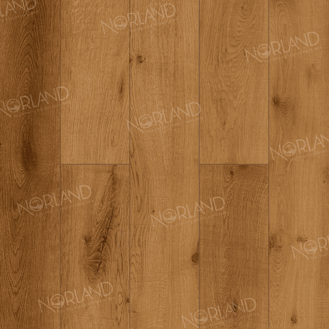 https://bitrix.alpinestore.su/upload/iblock/f41/mpxhwtgj6wd3j6f1gntgmj9ou6wfg4gd/LF301_13_3_11zon.png