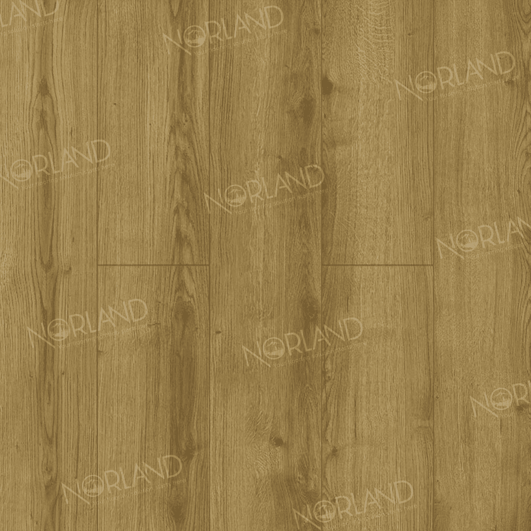 https://bitrix.alpinestore.su/upload/iblock/fe7/rfxh4g70jkg8ikzaf4vdhss8i4h7wpm3/LF301_17_3_11zon.png